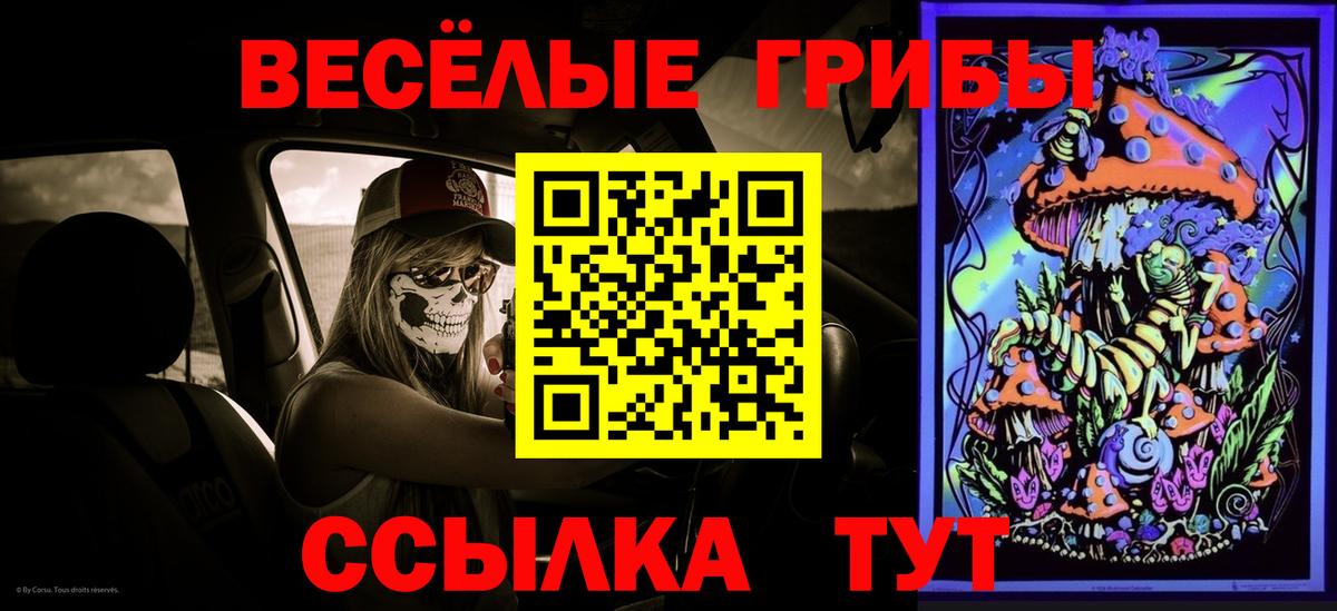 Псилоцибиновые грибы Magic Shrooms Гусев