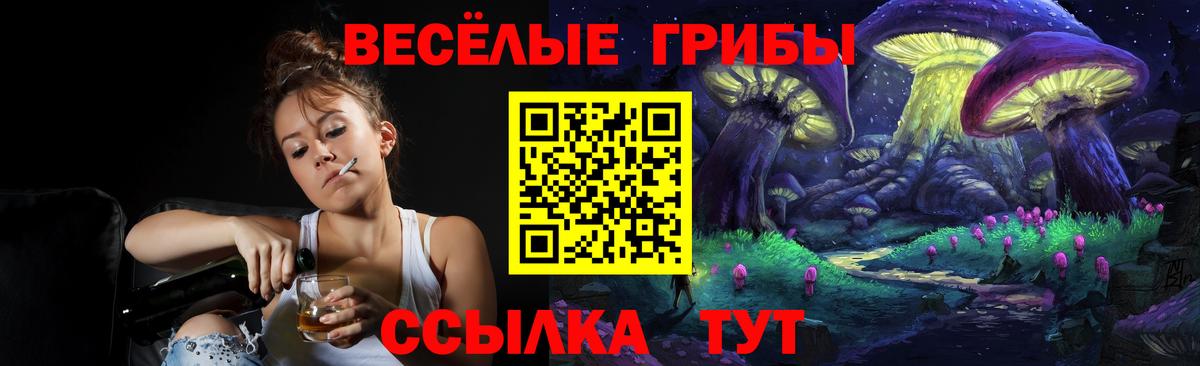 Псилоцибиновые грибы GOLDEN TEACHER  наркошоп  Гусев  Вход с VPN  Галлюциногенные грибы GOLDEN TEACHER 